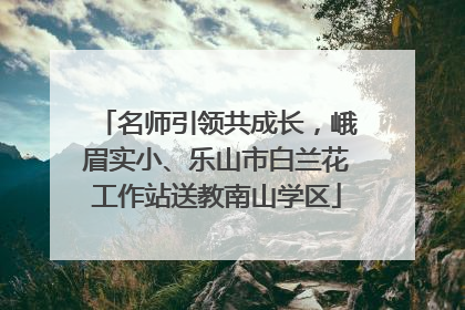 名师引领共成长，峨眉实小、乐山市白兰花工作站送教南山学区