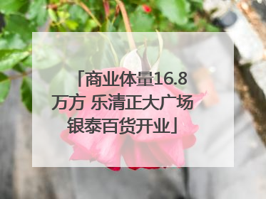 商业体量16.8万方 乐清正大广场银泰百货开业