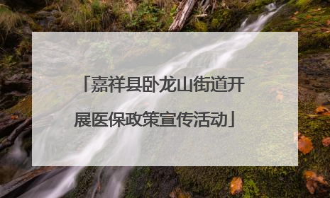 嘉祥县卧龙山街道开展医保政策宣传活动