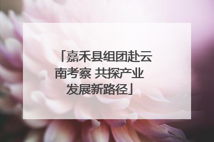 嘉禾县组团赴云南考察 共探产业发展新路径