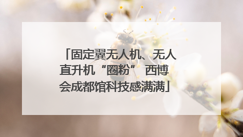 固定翼无人机、无人直升机“圈粉” 西博会成都馆科技感满满