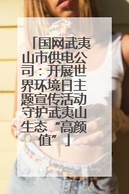 国网武夷山市供电公司：开展世界环境日主题宣传活动守护武夷山生态“高颜值”