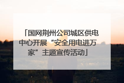 国网荆州公司城区供电中心开展“安全用电进万家”主题宣传活动
