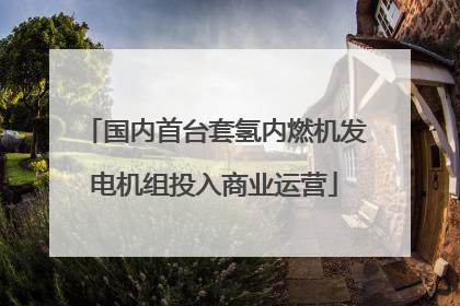 国内首台套氢内燃机发电机组投入商业运营
