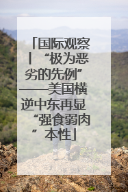 国际观察丨“极为恶劣的先例”——美国横逆中东再显“强食弱肉”本性