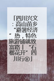 四川兴文：高山苗乡“避暑经济”热，特色旅游铺就致富路丨“石榴花开”四川行⑧