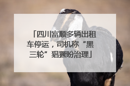 四川富顺多辆出租车停运，司机称“黑三轮”猖獗盼治理