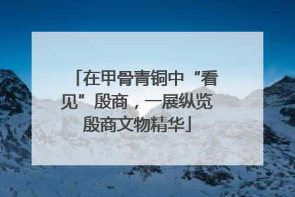 在甲骨青铜中“看见”殷商，一展纵览殷商文物精华