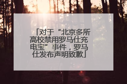 对于“北京多所高校禁用罗马仕充电宝”事件，罗马仕发布声明致歉