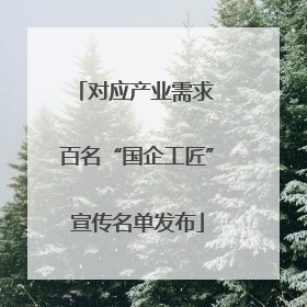 对应产业需求 百名“国企工匠”宣传名单发布