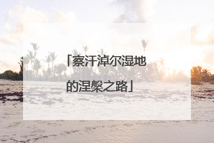 察汗淖尔湿地的涅槃之路