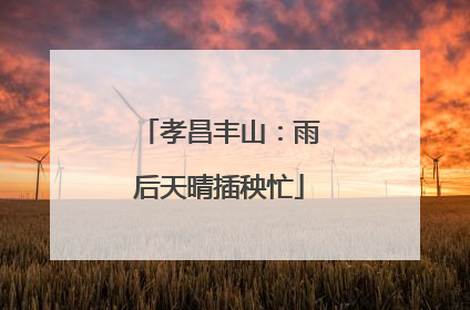 孝昌丰山：雨后天晴插秧忙