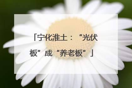 宁化淮土：“光伏板”成“养老板”