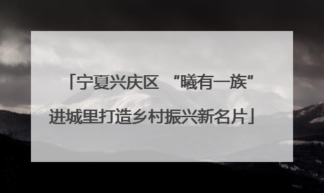 宁夏兴庆区 “曦有一族”进城里打造乡村振兴新名片