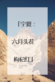 宁夏：六月头茬枸杞红