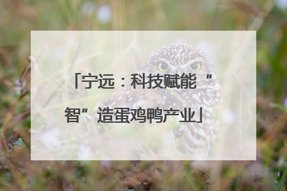 宁远：科技赋能“智”造蛋鸡鸭产业