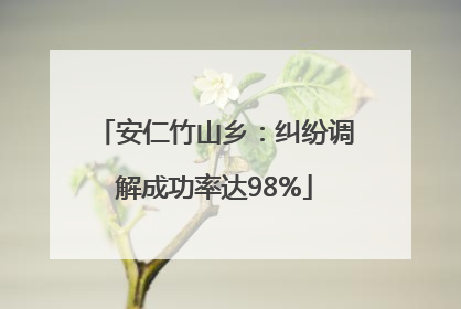 安仁竹山乡：纠纷调解成功率达98%