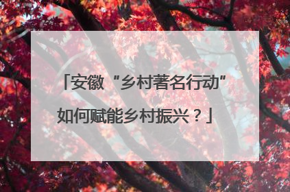 安徽“乡村著名行动”如何赋能乡村振兴？
