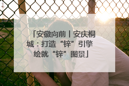 安徽向前丨安庆桐城：打造“锌”引擎 绘就“锌”图景