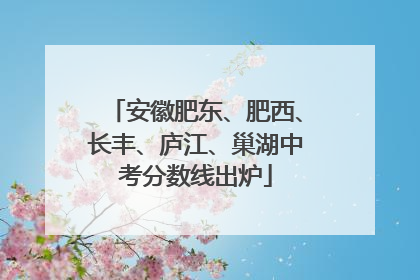 安徽肥东、肥西、长丰、庐江、巢湖中考分数线出炉