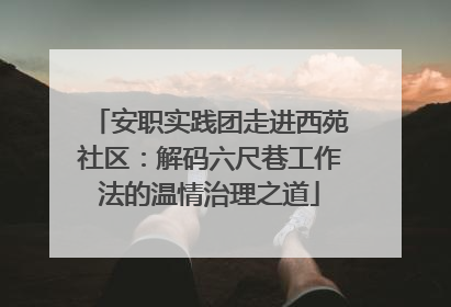 安职实践团走进西苑社区：解码六尺巷工作法的温情治理之道