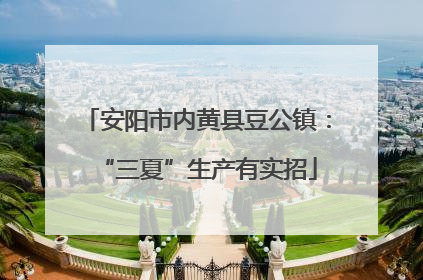 安阳市内黄县豆公镇：“三夏”生产有实招
