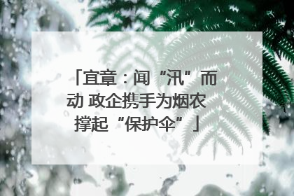宜章：闻“汛”而动 政企携手为烟农撑起“保护伞”