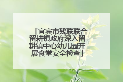 宜宾市残联联合留耕镇政府深入留耕镇中心幼儿园开展食堂安全检查