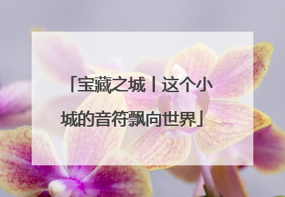 宝藏之城丨这个小城的音符飘向世界
