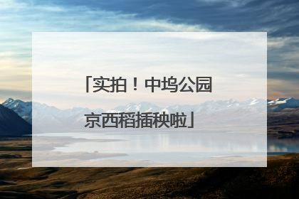 实拍！中坞公园京西稻插秧啦