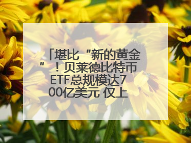 堪比“新的黄金”！贝莱德比特币ETF总规模达700亿美元 仅上市一年多