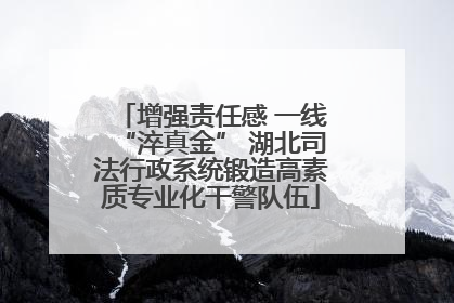 增强责任感 一线“淬真金” 湖北司法行政系统锻造高素质专业化干警队伍