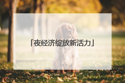 夜经济绽放新活力