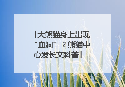 大熊猫身上出现“血洞”？熊猫中心发长文科普