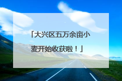 大兴区五万余亩小麦开始收获啦！