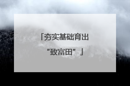 夯实基础育出“致富田”