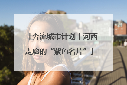 奔流城市计划丨河西走廊的“紫色名片”