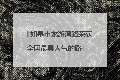 如皋市龙游湾路荣获全国最具人气的路