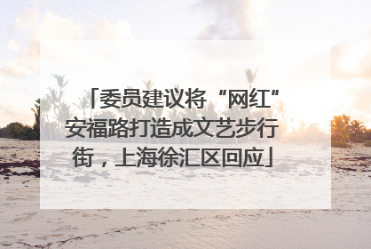 委员建议将“网红”安福路打造成文艺步行街，上海徐汇区回应