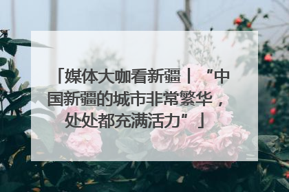 媒体大咖看新疆丨“中国新疆的城市非常繁华，处处都充满活力”