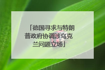 德国寻求与特朗普政府协调涉乌克兰问题立场