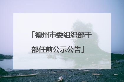德州市委组织部干部任前公示公告