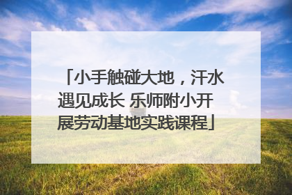 小手触碰大地，汗水遇见成长 乐师附小开展劳动基地实践课程