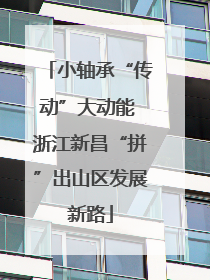 小轴承“传动”大动能 浙江新昌“拼”出山区发展新路