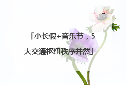 小长假+音乐节，5大交通枢纽秩序井然