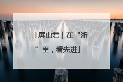 屏山君｜在“浙”里，看先进