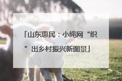 山东惠民：小绳网“织”出乡村振兴新图景
