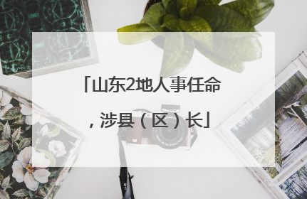山东2地人事任命，涉县（区）长