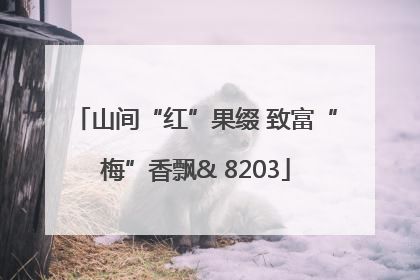 山间“红”果缀 致富“梅”香飘& 8203
