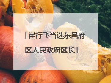 崔行飞当选东昌府区人民政府区长